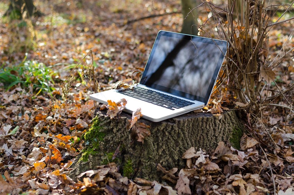 laptop-naturaleza